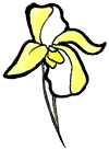 Lady Slipper Clipart