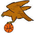 Basketball Carrying Hawk