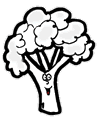  Broccoli