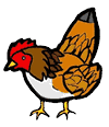 Hen