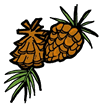 Pine Cone Clipart