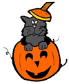 Black Cat in Carved Pumpkin