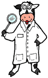 Scientist Cow in Lab Coat Clipart