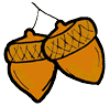 Acorn Clipart