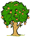 OrangeTree Clipart