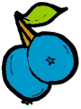 Blueberries
