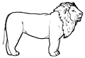 Lion Profile