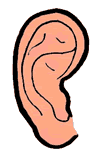 Ear Clipart