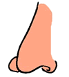 Nose Clipart