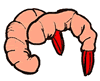 Shrimp