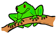 Tree Frog Clipart