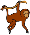 Hanging Brown Monkey