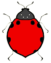 Lady Bug