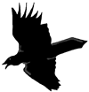 Black Crow