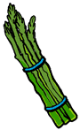 Asparagus