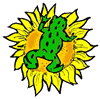 Frog on Sunflower Clipart