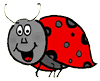 Happy Lady Bug