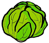 Lettuce 