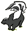 Skunk