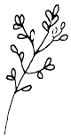 Pussy Willow Clipart