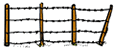 Barb Wire Fence