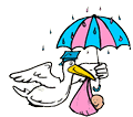 Stork Delivering Baby in Rain Clipart