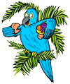 Blue Parrot Holding Fruit