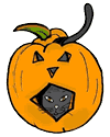 Black Cat in Carved Pumpkin