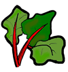 Rhubarb Plant Clipart