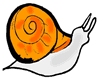 Snail