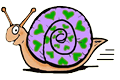 Snail with Hearts on Shell