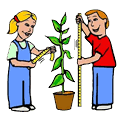 Kids Measuring Plant Growth Clipart
