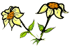 Gloriosa Daisies Clipart