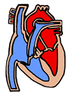 Heart Clipart