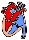 Heart Clipart