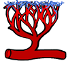 Blood Capillaries Vanules Clipart