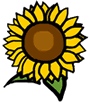 Sunflowers Clipart