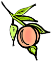 Peach on Branch