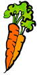 Carrots
