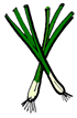 Green Onions