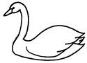 Swan