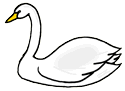 Swan