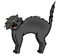 Hissing Black Cat