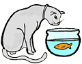 Cat Looking in Fish Bowl