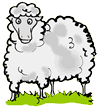 Wooly Sheep