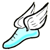 Shoe with Wings