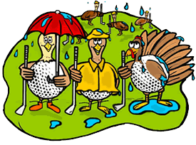 Golf Ball Turkeys in Rain