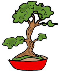 Bonsai Tree