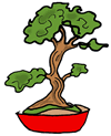 Bonsai Tree Clipart