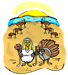 Turkeys Married on Beach
